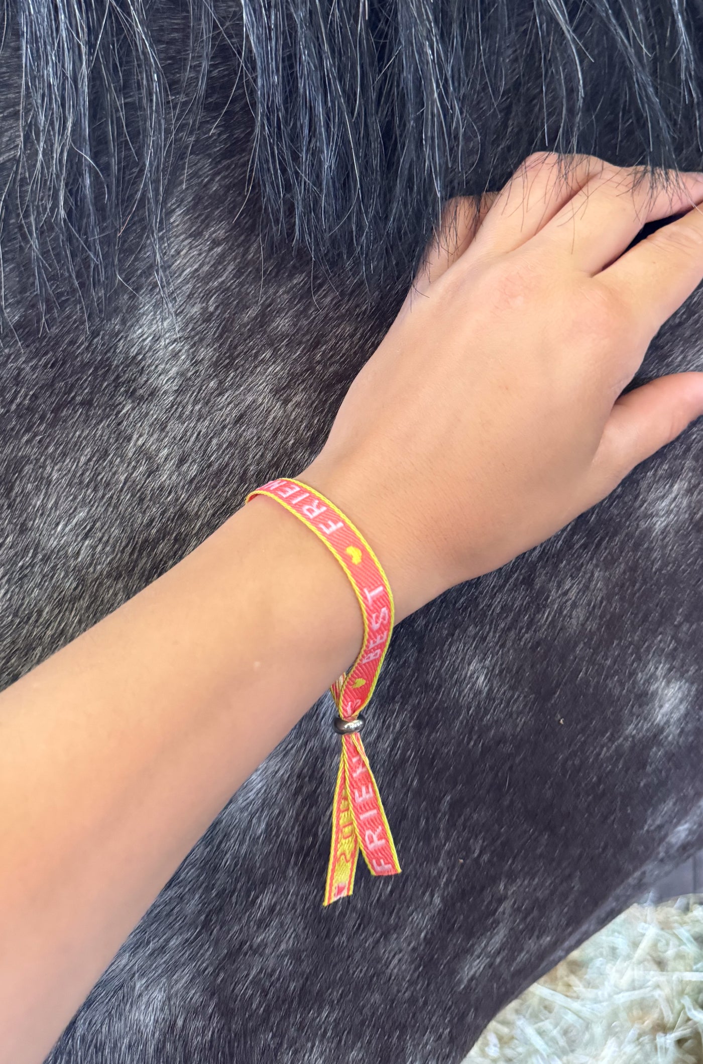 Armband Best Friends